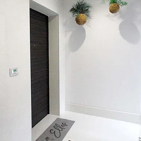 Elles Con Parcheggio Interno E Ricarica Auto Elettrica